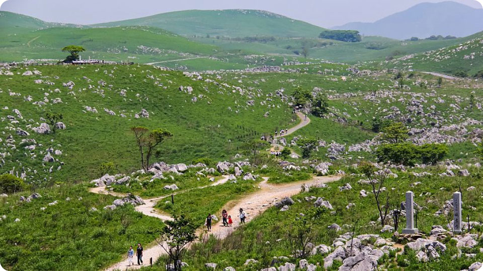Khung cảnh thiên nhiên rộng lớn của cao nguyên Akiyoshidai.